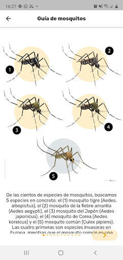 Mosquito Alert скриншот 4