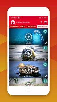 Best Animals Ringtones screenshot 3