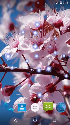 Spring Flowers Live Wallpaper screenshot 2