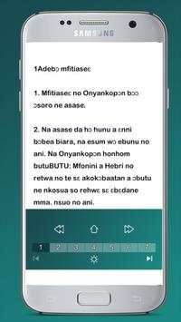Twi bible old and new testament screenshot 3