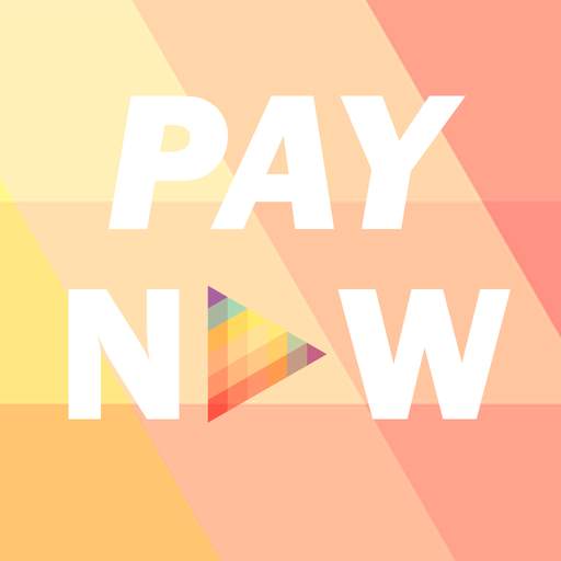 Pay-Now 1.1