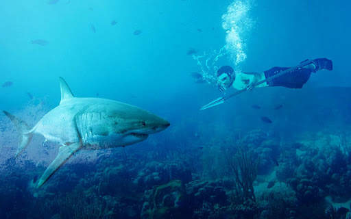 Angry Whale Shark Hunter - Raft Survival Mission screenshot 6
