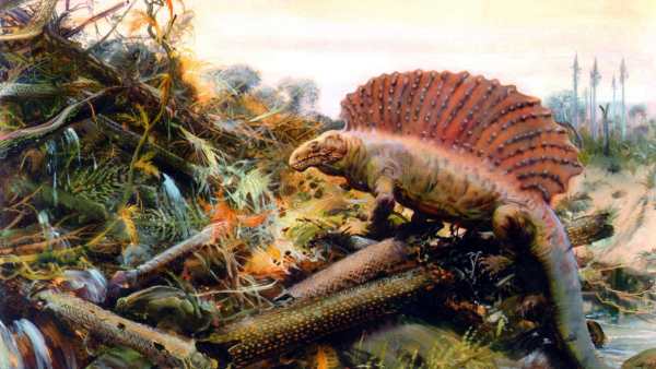 Dinosaur Live Wallpaper (Wallpapers & Backgrounds) screenshot 7