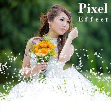 Phosina Pixel Effect : Photo Editor screenshot 2
