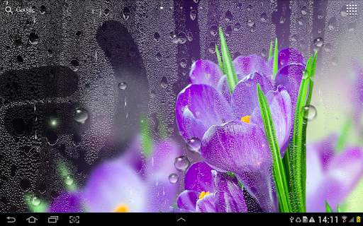 Rain Live Wallpaper screenshot 13