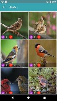 Nature Wallpapers: Birds, Animals, Butterflies screenshot 5