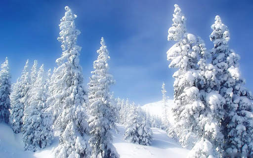 Winter Wallpaper screenshot 5