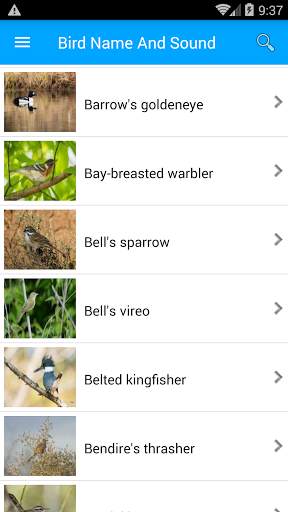 Bird Name And Sound screenshot 4