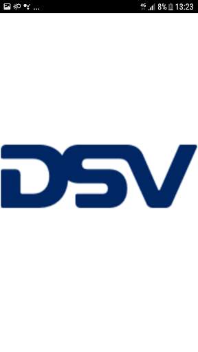 DSV Driver screenshot 2