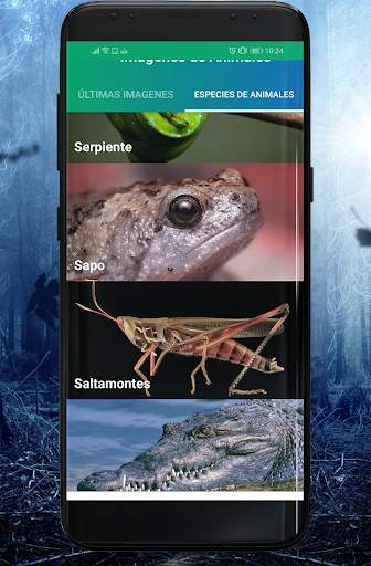 Fondos de Animales screenshot 6