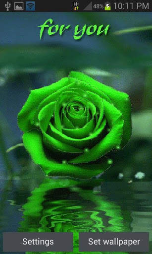 Green Rose For You LWP screenshot 1