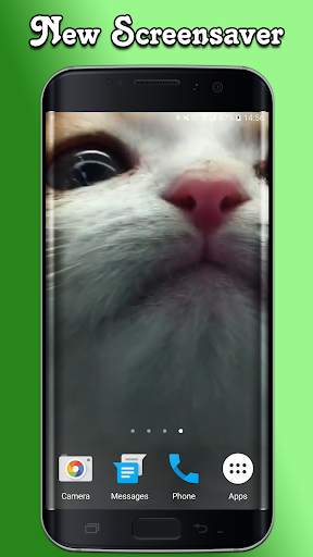 Cat Lick Screen Live Wallpaper screenshot 3