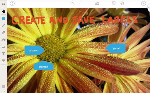 Stage: Whiteboard and Camera screenshot 8