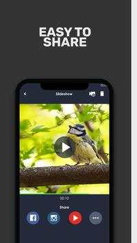 Video Maker for Youtube & Intro Maker screenshot 4