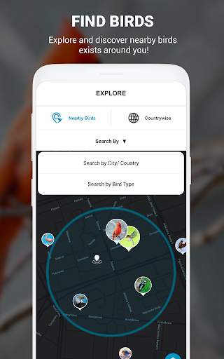 Birds Identifier App by Photo, Bird ID Camera 2020 screenshot 15