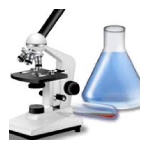 How read medical examinations 21.10.23