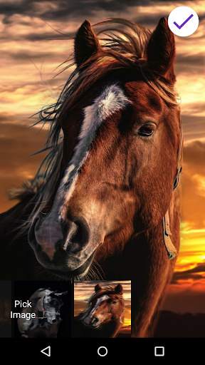 Horse Lock Screen 7 تصوير الشاشة