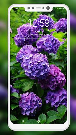 Garden Wallpaper स्क्रीनशॉट 9