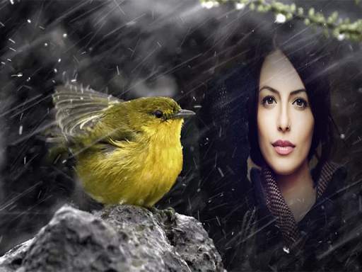 Monsoon Rain Photo Frames 4 تصوير الشاشة