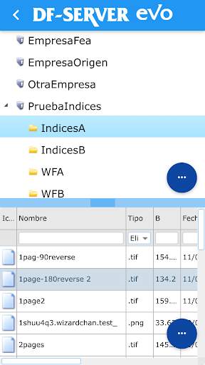 DF-Server Mobile screenshot 2