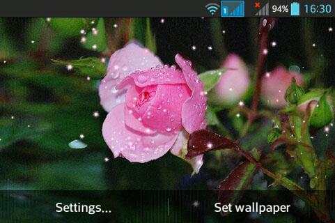 Rose screenshot 2