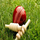 IPL 11 (2018) Cricket Betting Predictions icon