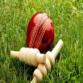 IPL 11 (2018) Cricket Betting Predictions 15.0
