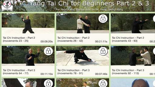 Yang Tai Chi for Beginners 2&3 screenshot 9