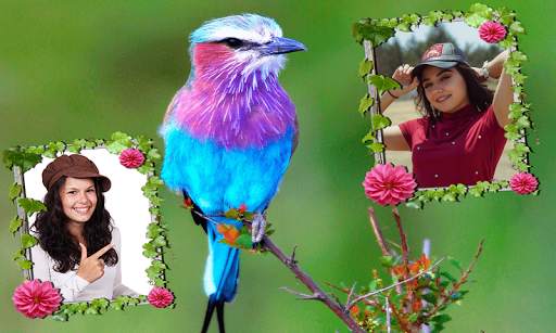 Love Birds Dual Photo Frame screenshot 3