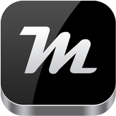 Metallic Theme icon