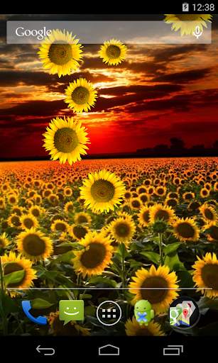 Sunflower Live Wallpaper screenshot 1