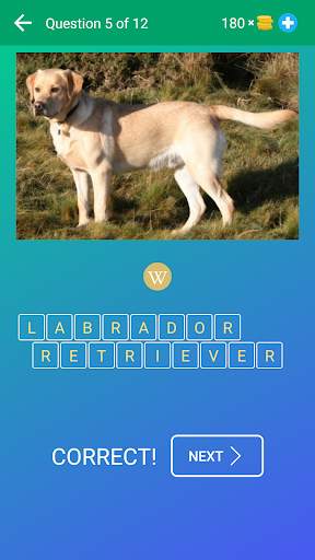 Dog Quiz: Guess the Breed — Game, Pictures, Test screenshot 2