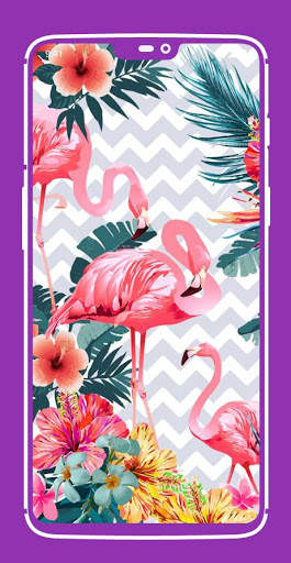 Flamingo Wallpaper screenshot 3