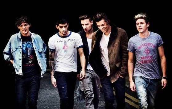 One Direction - Top Music Offline screenshot 6