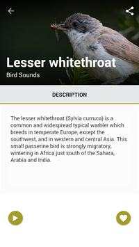 75 Birds Sound World screenshot 1