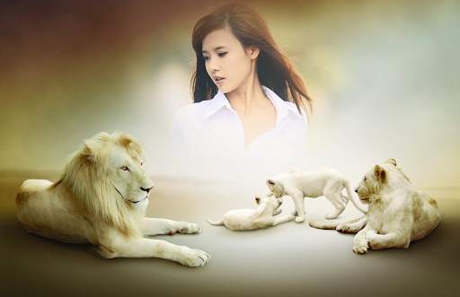 Animal Photo Frames screenshot 2