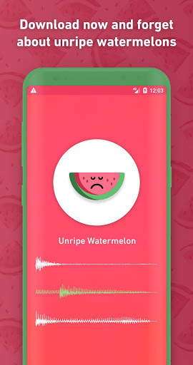Melony: World First Watermelon Ripeness Detector screenshot 3
