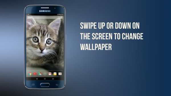 Cat Wallpaper screenshot 1