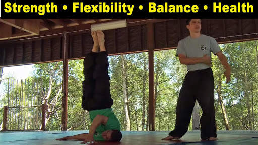 Kung Fu Body (YMAA) 9 تصوير الشاشة