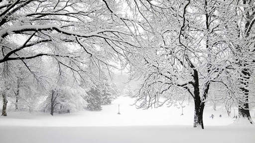 Winter Wallpapers : backgrounds hd screenshot 13