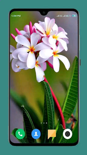 Flower Wallpaper Ultra HD 4K screenshot 6