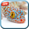 Amazing Wildlife Photo Frame icon