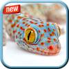Amazing Wildlife Photo Frame 1.0.9