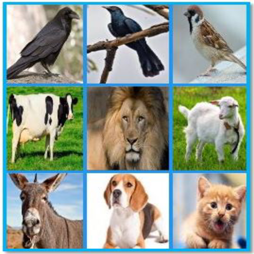 Animals and Birds Sounds for fun icon