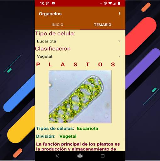 Organelos de la Celula screenshot 2