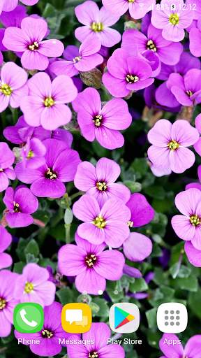 Beautiful Spring Wallpapers screenshot 1