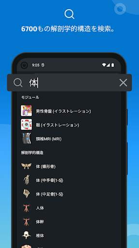 e-Anatomy screenshot 3