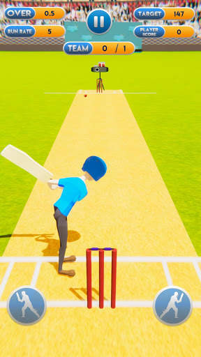 Cricket World Cup Mayhem 2019 screenshot 3