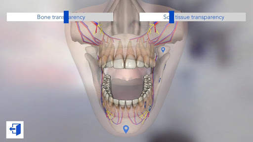 Dental Simulator screenshot 3