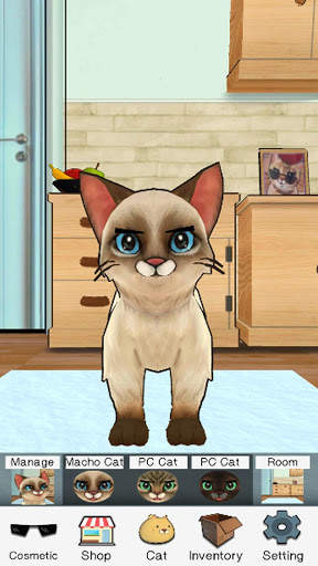 마쵸 고양이 :애완 고양이 시뮬레이터 screenshot 8